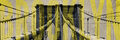 Image Not Available